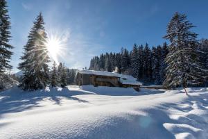 une cabane en rondins dans la neige où le soleil brille dans l'établissement Sportappartements, à Bad Mitterndorf