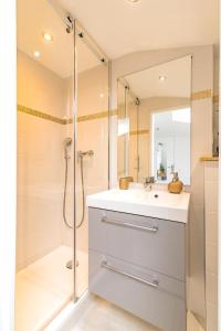a bathroom with a sink and a shower at Chambre et appartements entre le Pont d Avignon et le Palais des Papes in Avignon