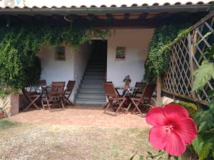 A garden outside Podere San Pierino