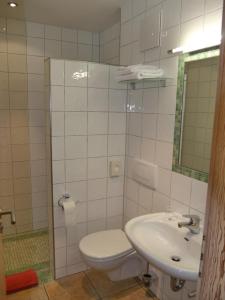 a bathroom with a toilet and a sink at Hotel und Gutsgaststätte Rappenhof in Weinsberg