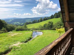 a porch of a cabin with a view of a river at Waldheimathütte in Sankt Kathrein am Hauenstein