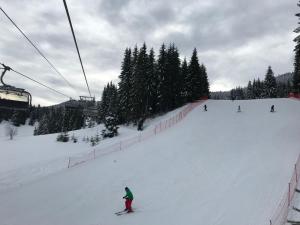 Skifaciliteter ved lejlighedshotellet eller i nærheden