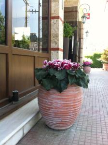 Gallery image of Hotel Aiges Melathron in Veria +23 photos