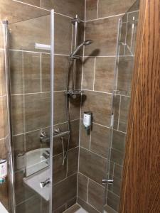 La salle de bains est pourvue d'une douche avec une porte en verre. dans l'établissement Hotel Restaurant Denis, à Zemmer
