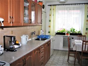 una cucina con lavandino e piano di lavoro di Apartmán Milena a Jičín