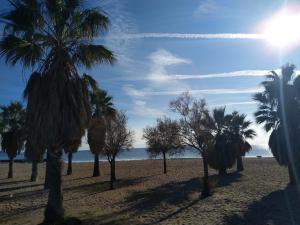 un grupo de palmeras en una playa de arena en Residence Cap Hermes - maeva Home, en Fréjus