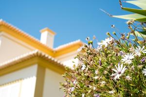 un árbol con flores blancas delante de una casa en Apartamentos Benvindo by Umbral, en Albufeira