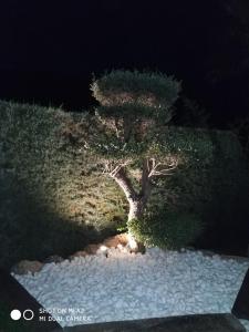 A garden outside Casa Rural Los Cascajales