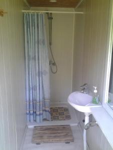 a small bathroom with a shower and a sink at Haaviku Nature Lodge in Sagadi