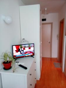 TV a/nebo společenská místnost v ubytování Студио Бижу