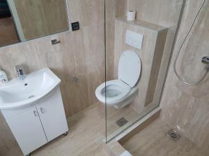 Koupelna v ubytování Apartman Simić 2
