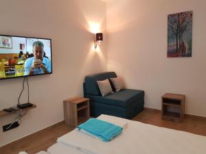 Μια τηλεόραση ή/και κέντρο ψυχαγωγίας στο Apartman Simić 2