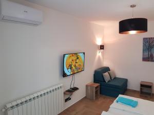 Μια τηλεόραση ή/και κέντρο ψυχαγωγίας στο Apartman Simić 2