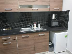 a kitchen with a sink and a microwave at Apartmán Holandská 120 Beroun in Beroun