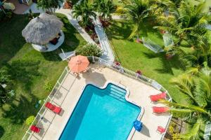 an overhead view of a swimming pool in a resort at Oceans Beach Resort & Suites in Pompano Beach