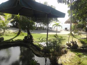Zahrada ubytování Sea Turtle House Moalboal