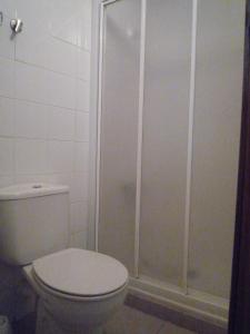 a bathroom with a toilet and a shower at Hostal Residencia Ponte Vella in Lugo