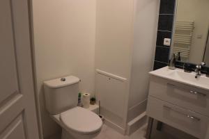 La salle de bains blanche est pourvue de toilettes et d'un lavabo. dans l'établissement STUDIO CENTRE VILLE COMPIÈGNE, à Compiègne