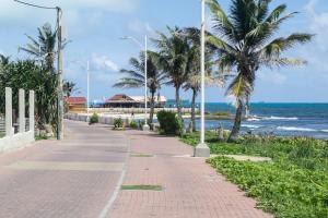 a sidewalk next to the beach with palm trees at Ohana Lodging in San Andrés