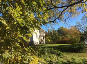 een huis gezien door de bladeren van de bomen bij STF Vandrarhem Edsbyn in Edsbyn