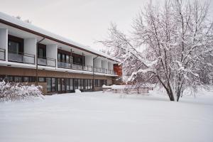 um edifício coberto de neve com um banco e uma árvore em Hotelli Pielinen em Vuonislahti