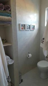 ein Badezimmer mit WC und Bildern an der Wand in der Unterkunft Nova Skye in Johannesburg