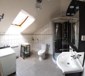 y baño con aseo, ducha y lavamanos. en La tour Gîtes du Florimont, en Ingersheim
