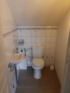 un piccolo bagno con servizi igienici e lavandino di La tour Gîtes du Florimont a Ingersheim