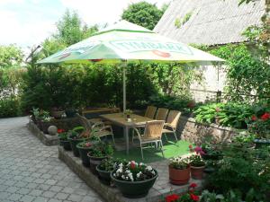 a table with an umbrella in a garden with potted plants at Vila Saulute in Palanga