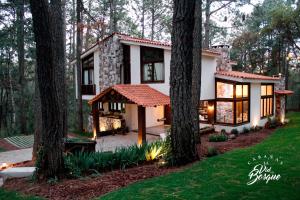 a house in the woods with trees at Cabañas La Vid Del Bosque in Tapalpa