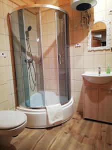 a bathroom with a shower and a toilet and a sink at Babie Lato in Włodarka +52 photos