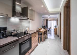 Kuchyň nebo kuchyňský kout v ubytování Lemar Luxury Apartments