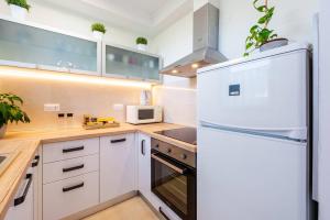 Kuchyňa alebo kuchynka v ubytovaní Dubrovnik oasis
