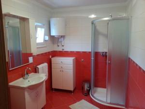 La salle de bains est pourvue d'une douche et d'un lavabo. dans l'établissement Apartment Branko-with parking, à Vinišće