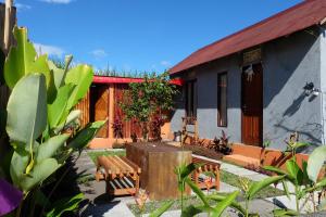 Gallery image of Bukit Catu Bungalows in Kintamani