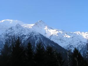une montagne enneigée avec des arbres devant elle dans l'établissement Chalet La Renardière, à Chamonix-Mont-Blanc
