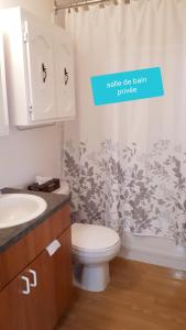 un bagno con un water, un lavandino e una tenda da doccia di MHotel Domaine l'Envolée- Maison Fleurie a Victoriaville