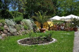ogród z palmą w trawie w obiekcie Hotel & Restaurant Märkische Schweiz w mieście Buckow