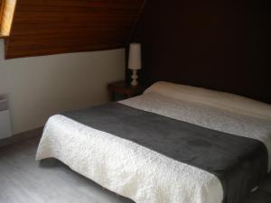 a bedroom with a bed and a lamp on a table at Hôtel La Randonnée in Nasbinals