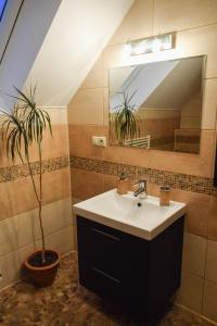 a bathroom with a sink and a mirror and a potted plant at Penzión nad Skalicou in Skalica