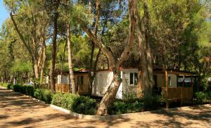 a house in the middle of a forest of trees at Castroboleto Village in Nova Siri Marina