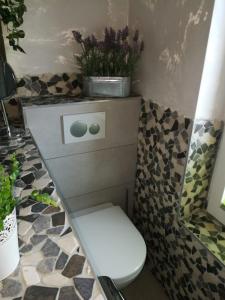a bathroom with a toilet with a plant on the counter at Fernblick in Bremen