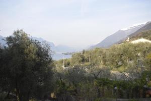 een uitzicht op een heuvel met bomen en een meer bij AldinHaus in Brenzone sul Garda