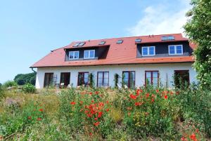 Zahrada ubytování Hotel Enddorn Hiddensee