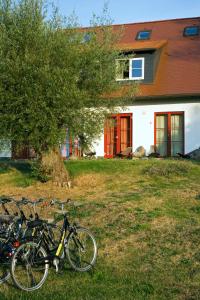 Jízda na kole v ubytování Hotel Enddorn Hiddensee nebo okolí
