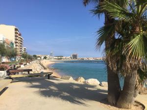a bench next to a beach with a palm tree at Apartment Ramon in Sant Antoni de Calonge