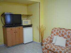 a living room with a tv and a couch and a microwave at Hostal Residencia Ponte Vella in Lugo