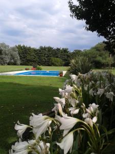 a garden with white flowers and a swimming pool at Hostería Rural Les Aldudes in San Andrés de Giles +14 photos