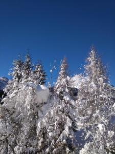Gallery image of Gianfranco Daveri in Sappada