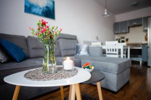 Kuchyňa alebo kuchynka v ubytovaní Apartament Europejski
